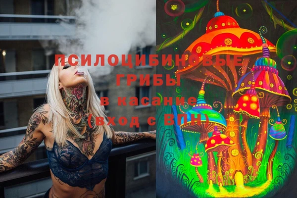 молекула духа Алзамай